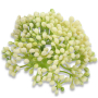 53285 cream