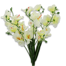 Bukiet Storczyków VIP5810/MIX(6)