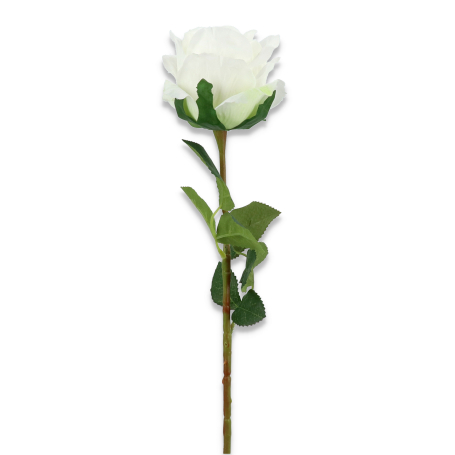 52582 kl001