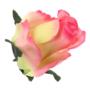 Róża główka kwiatowa 51553 F036