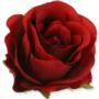 Róża vivaldi główka kwiatowa 55682 BU113  3202 3202