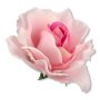 58634 lt pink