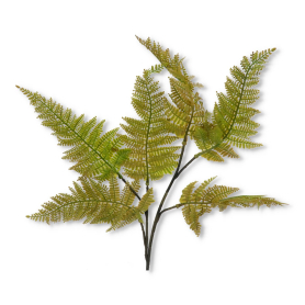Dodatek Paproć Z6553