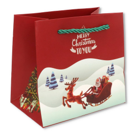 Torebka papierowa TCP2017-2