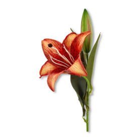 Lilia gałązka pojedyncza ERA1026