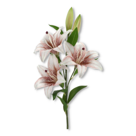 Lilia gałązka pojedyncza T140-23-1110