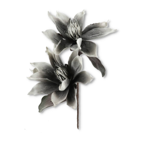 Magnolia piankowa gałązka VIP6601