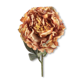 Piwonia gałązka, super materiał 65cm HD339291