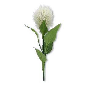 Czosnek gałązka pojedyncza KPA1115