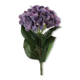 Hortensja gałązka pojedyncza T98-07