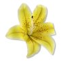 60244 white yellow