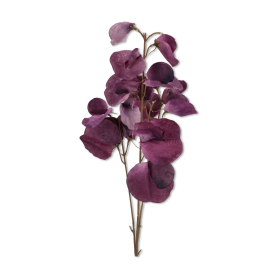 Eukaliptus gałązka ECO016 MIX1