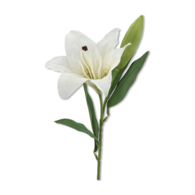 Lilia gałązka pojedyncza ERA1030 MIX2