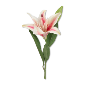 Lilia gałązka pojedyncza ERA1030 MIX3