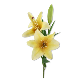 Lilia gałązka pojedyncza ERA1031 MIX2