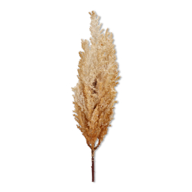 Perukowiec gałazka 70cm HD240041