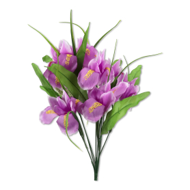 Bukiet kolorowych Irysów EJ012a