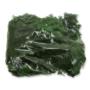 Susz mech Island Moss 250g Medium Green CANWG001-250_MDGR