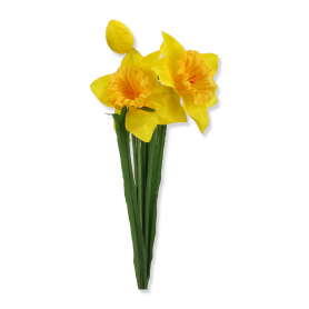 Narcyż żonkil x2 z pąkiem LV020