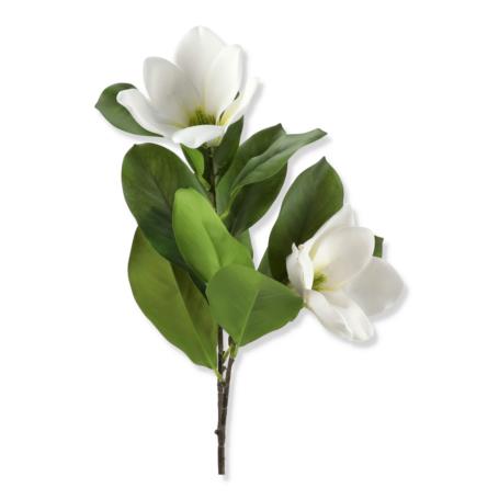 Magnolia gałązka MAG1002