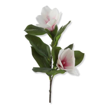 Magnolia gałązka MAG1002