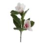 Magnolia gałązka MAG1002