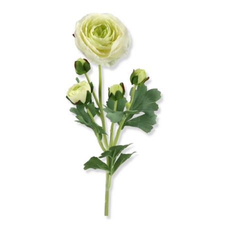 Pełnik gałązka REN2002