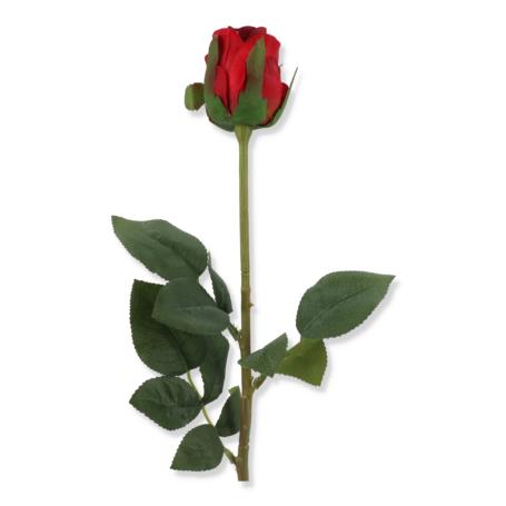 Róża pojedyncza w pąku REN2009