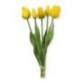 Tulipan gumowy bukiet x5 CV18658-7