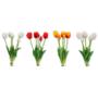 Tulipan guma bukiet x5 CV31219-MIX