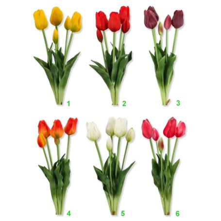 Tulipan Bukiet guma x5 50386 CV13554-MIX