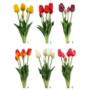 Tulipan Bukiet guma x5 50386 CV13554-MIX