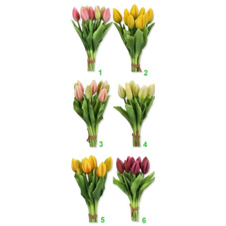 Tulipan bukiet guma x9 CV08289-MIX