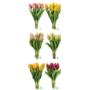 Tulipan bukiet guma x9 CV08289-MIX