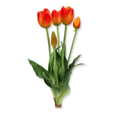 Tulipan Bukiet guma x5 50387 CV13555-4