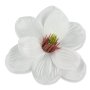 57931 white