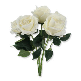 Bukiet Róż DL100024