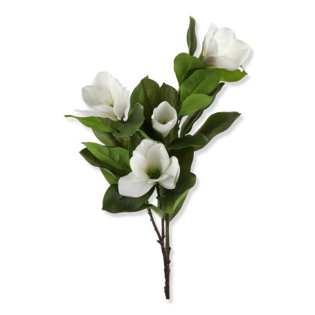 60647 white