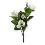 60647 white