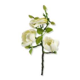 Magnolia gałązka WEI1009