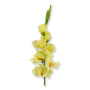52297 yellow green