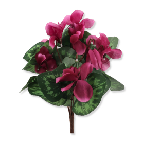 Bukiet  Cyklamen
