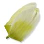 Tulipan główka kwiatowa 6cm HD070151