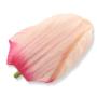 Tulipan główka kwiatowa 6cm HD070151