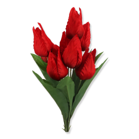 Bukiet Tulian wysoki x9 HD070135