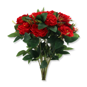 Bukiet dzikiej róży x15 HD070168