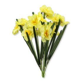 Bukiet Narcyzów BUA2404
