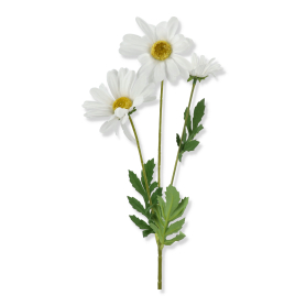 Rumianek gałązka x3 SUN484