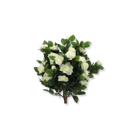 Drzewo Róży TREE035