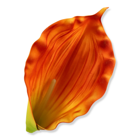 55002 orange